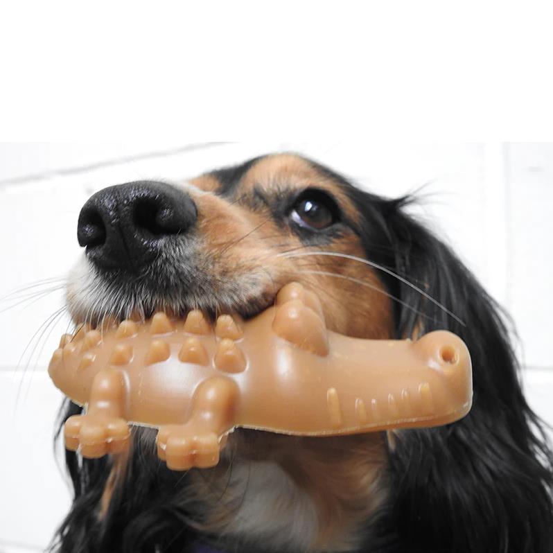 Maks Patch Peanut Butter Crocodile Veggie Dental Dog Treat