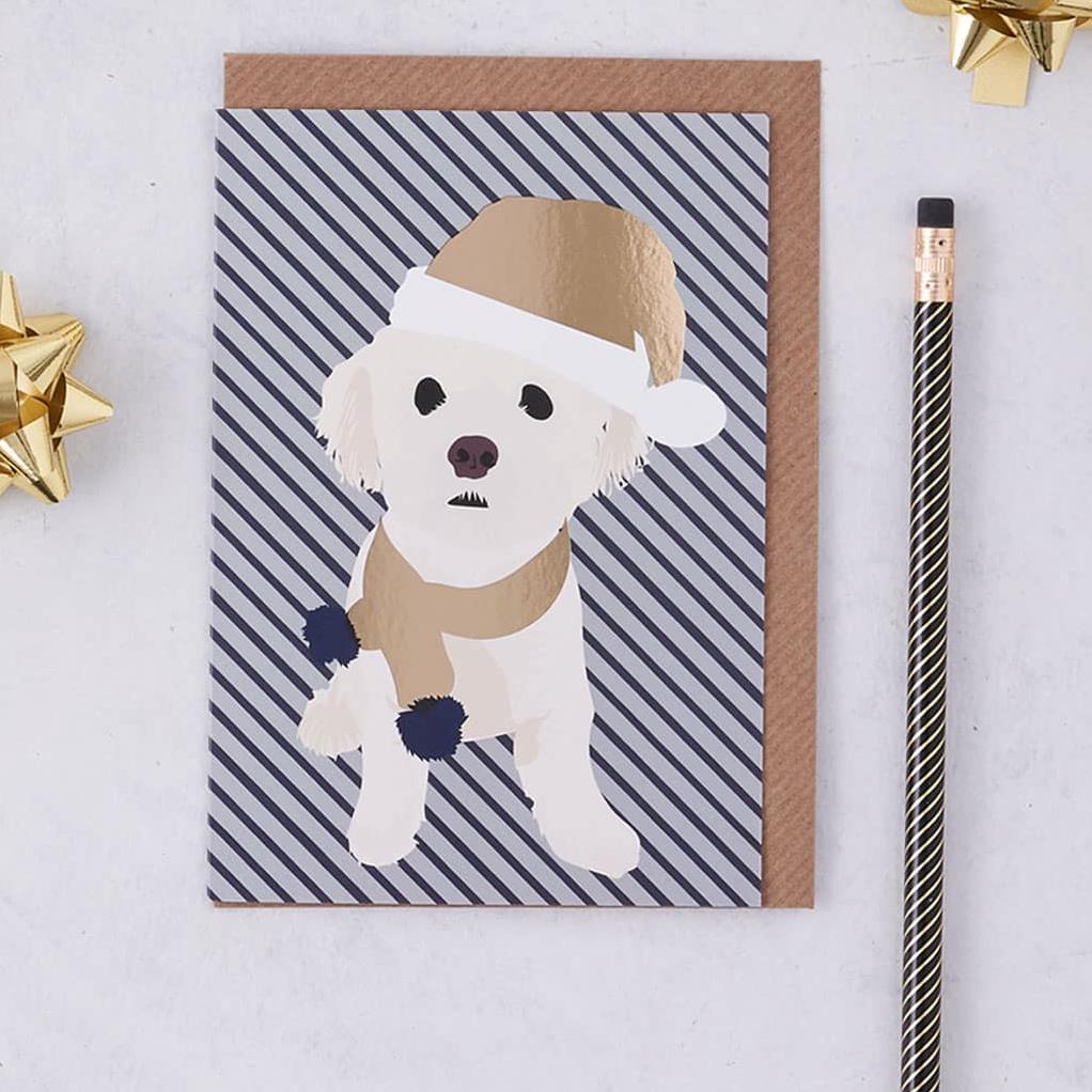 Lorna Syson Alfie the Bichon Frise Dog Christmas Card