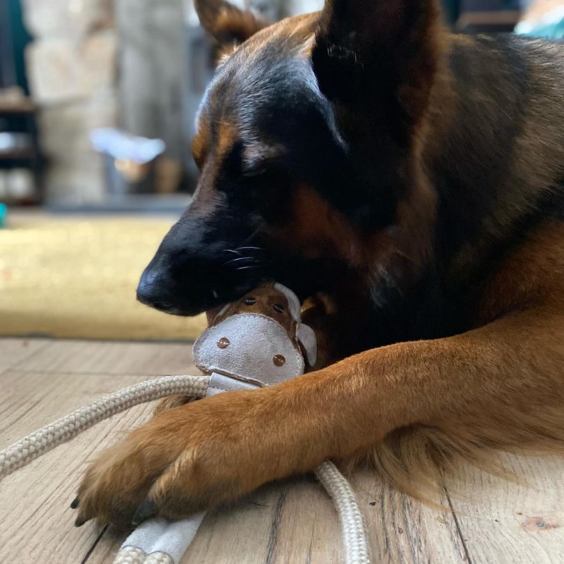 Miro & Makauri Cuthbert the Cow Eco Friendly Leather & Jute Rope Silent/No Squeaker Dog Toy