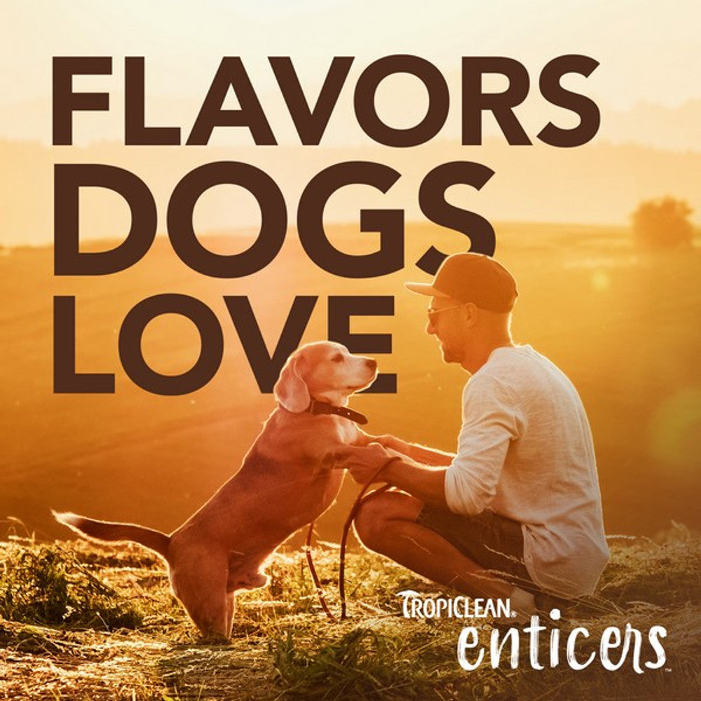 Enticers Teeth Cleaning Gel and Toothbrush for Dogs Peanut Butter 59ml