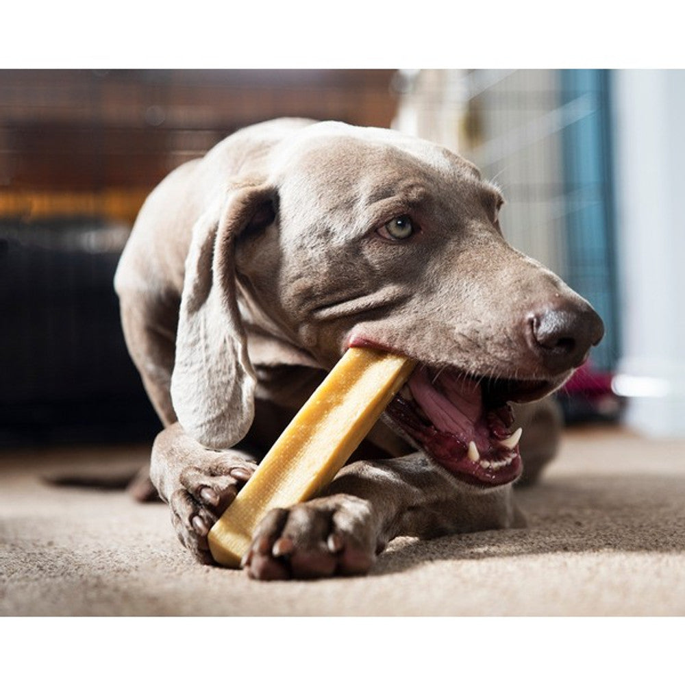Yak Cheese Dog Chew