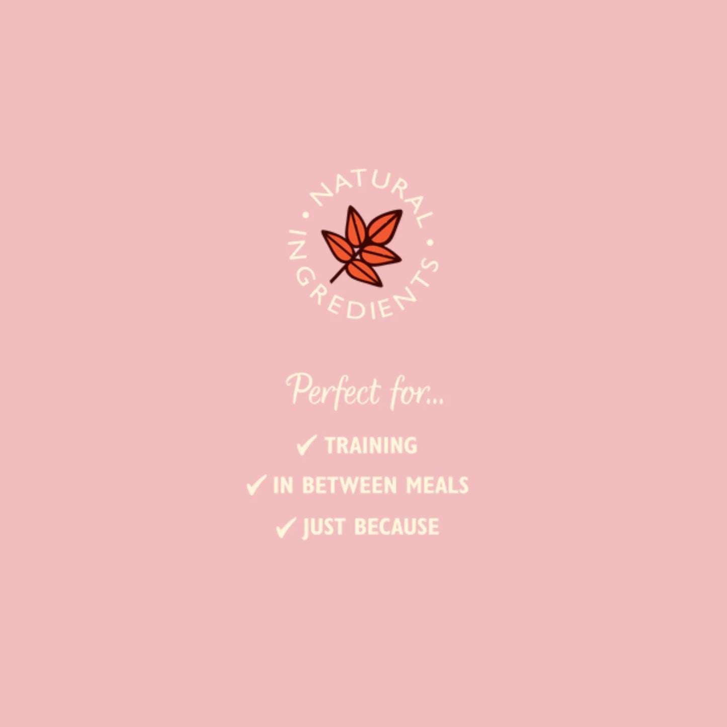 Puppy Training Treats Grain Free 70g