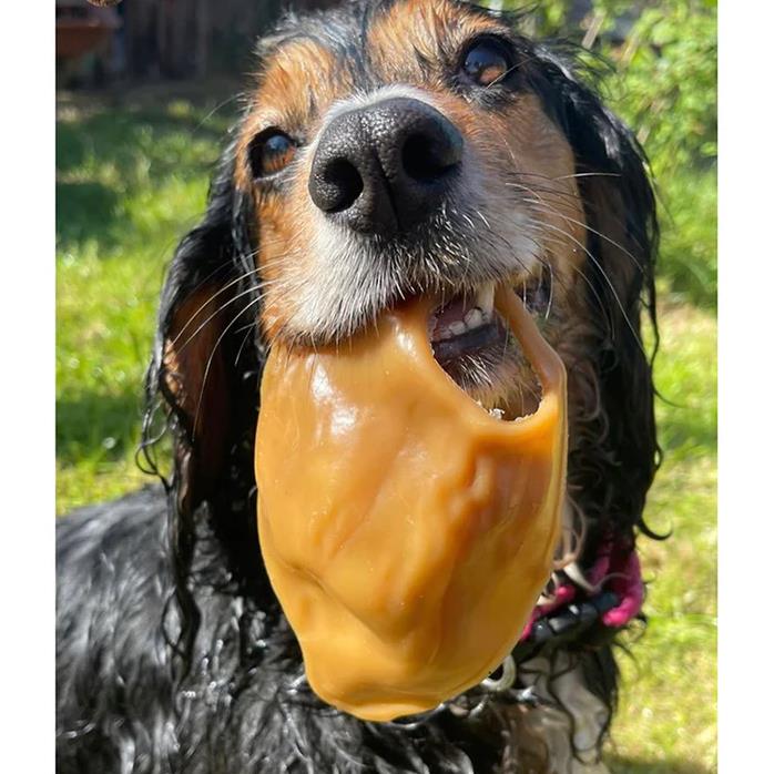 Maks Patch Peanut Butter & Natural Smoked Veggie Pigs Ear Dog Treat