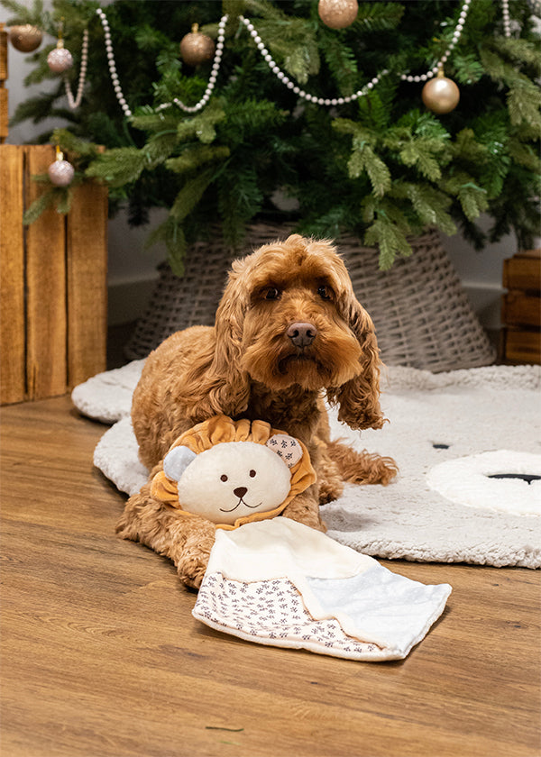 Cupid & Comet Lion Crinkle Blankie Dog Toy