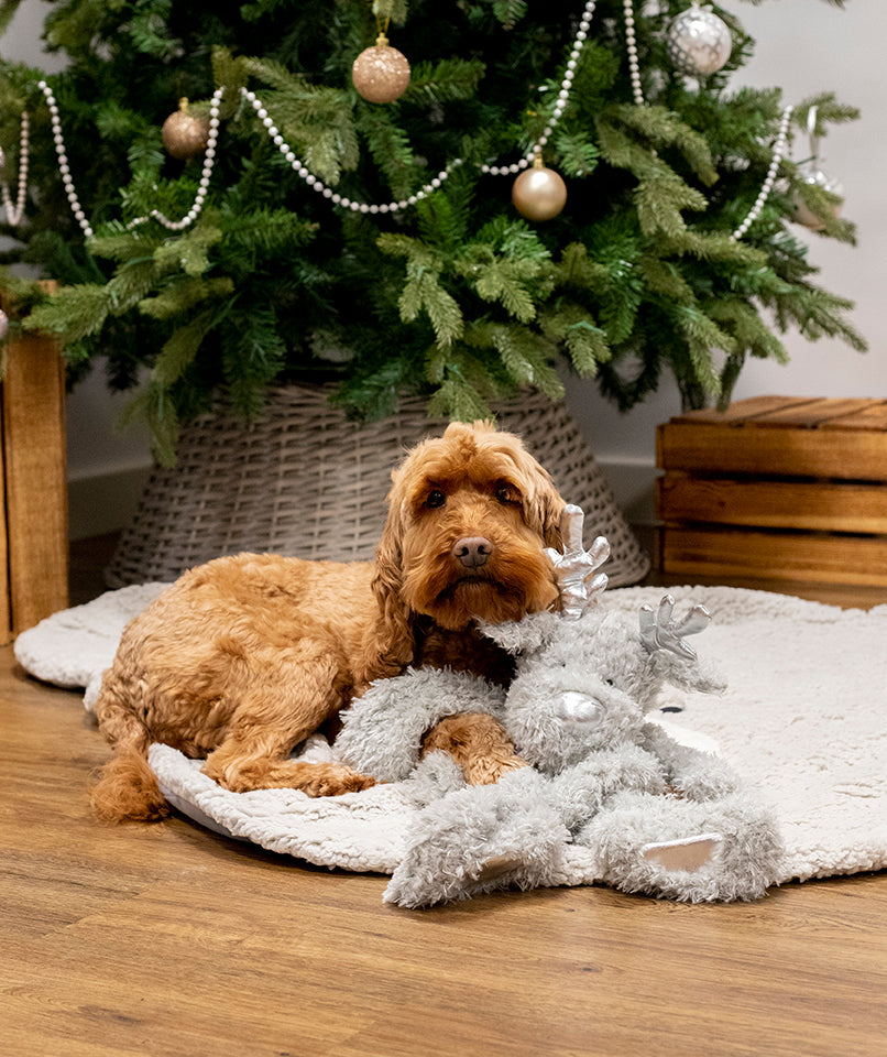 Cupid & Comet Festive Flattie Reindeer Dog Toy