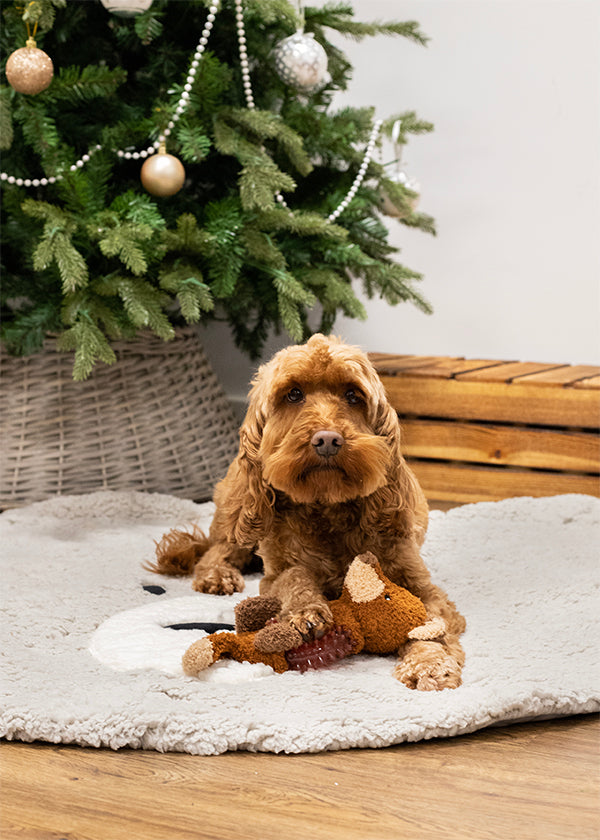 Cupid & Comet Festive Fox Dog Toy