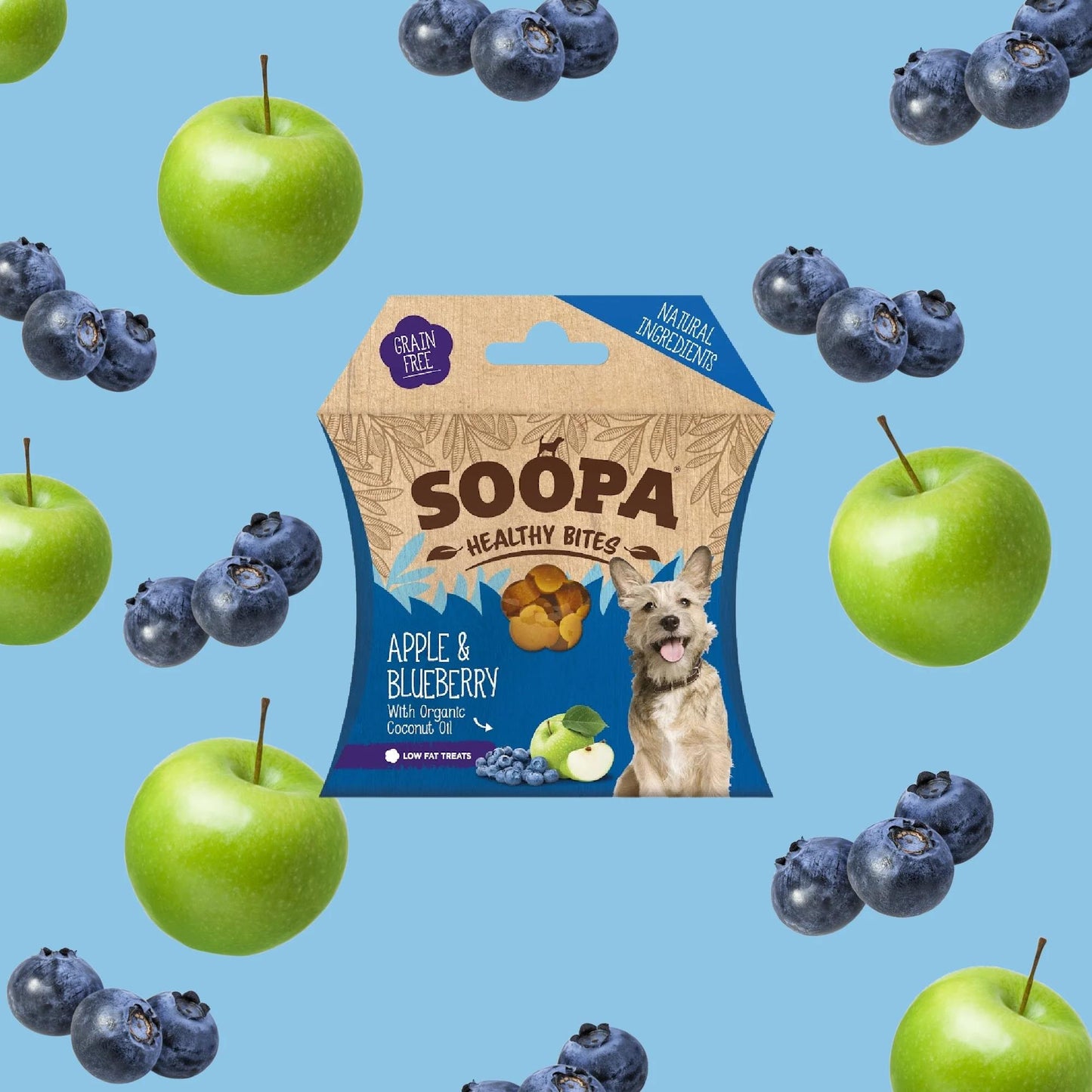 Apple & Blueberry Healthy Bites 50g