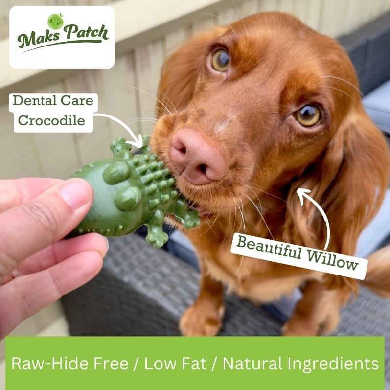 Maks Patch Dental Care Croc Bites Crocodile Veggie Dog Treat Medium