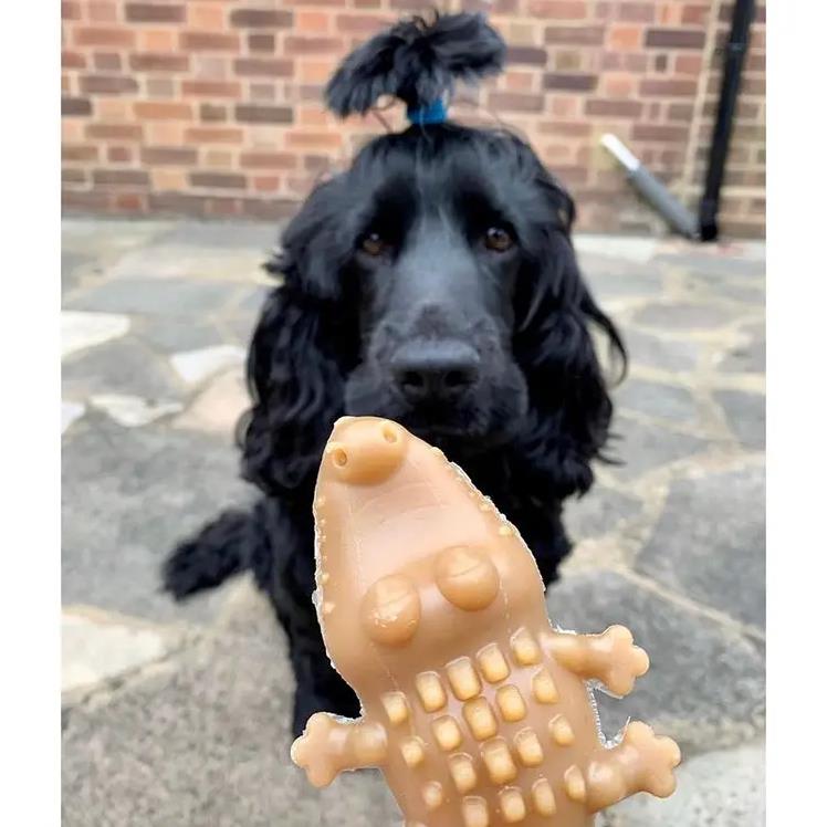 Maks Patch Peanut Butter Crocodile Veggie Dental Dog Treat