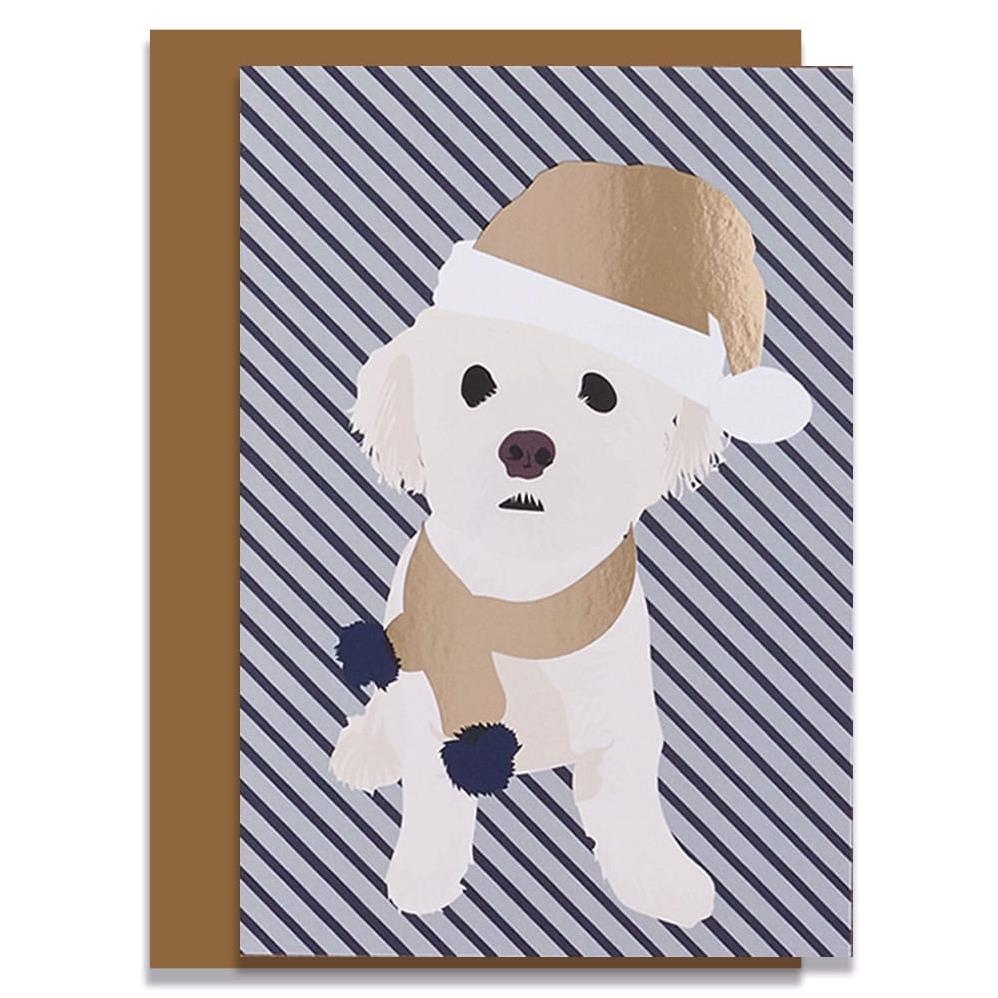Lorna Syson Alfie the Bichon Frise Dog Christmas Card