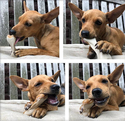 Maks Patch Peanut Butter Dual Bone Veggie Dog Treat