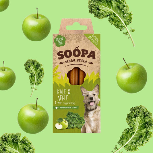 Kale & Apple Dental Sticks 100g