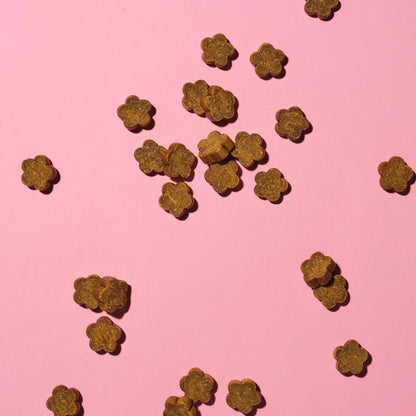 Turkey & Hemp Meaty Calming Dog Treats 120g
